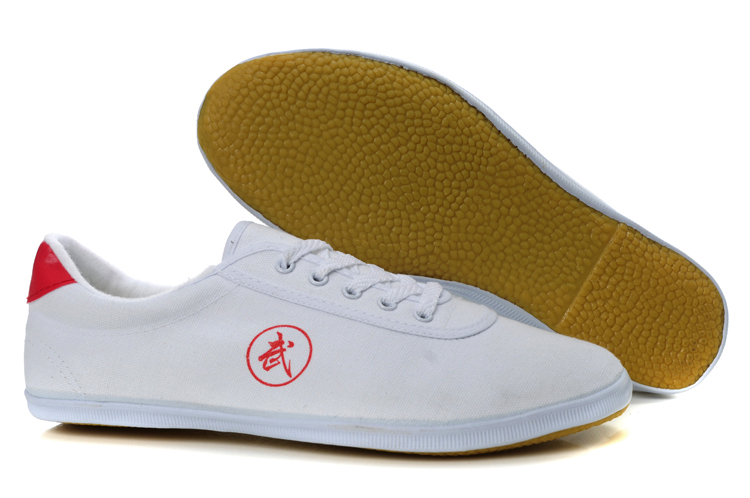 Tai Chi Shoes White